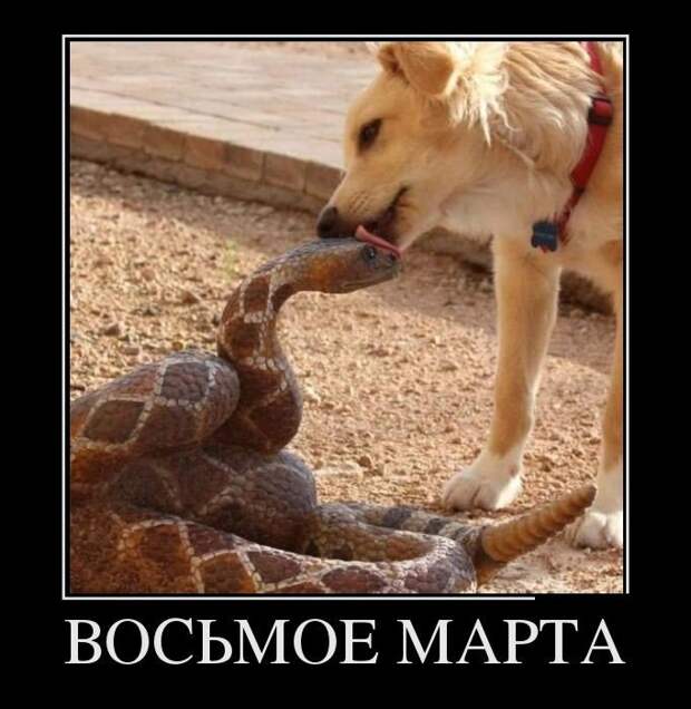Давайте улыбаться вместе!