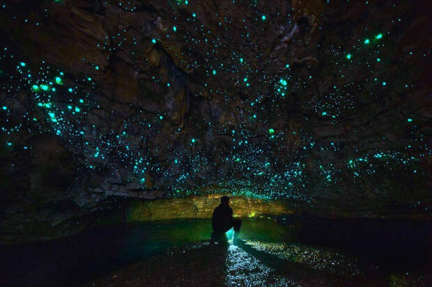 Светящиеся пещеры Вайтомо-Глормор