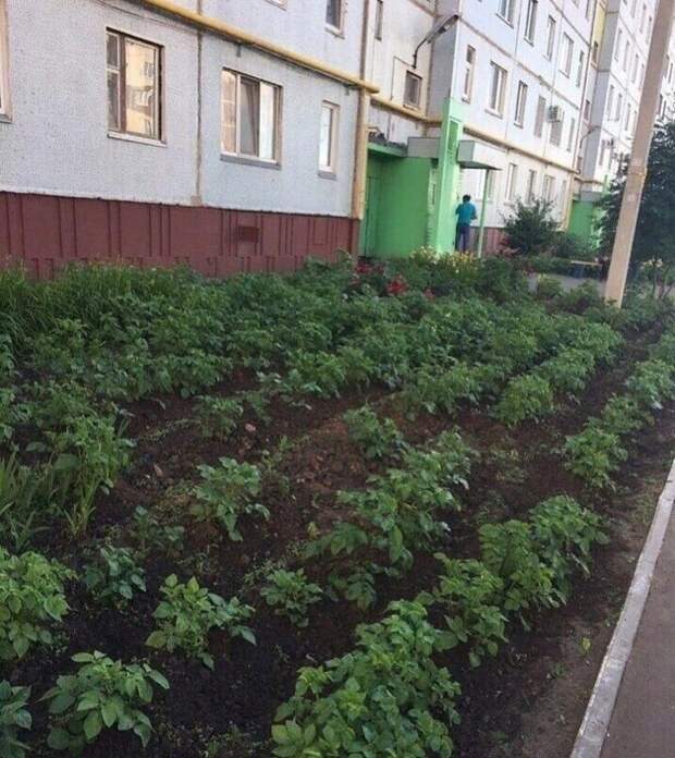 Городская тоска Городская тоска