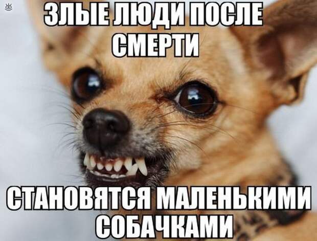Фотографические прикольности 1