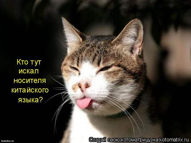Мысли вслух :)