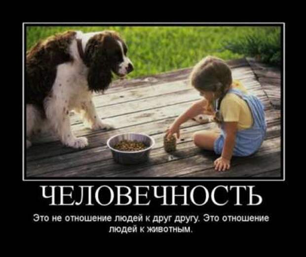 Демотиваторы по русски со смыслом.
