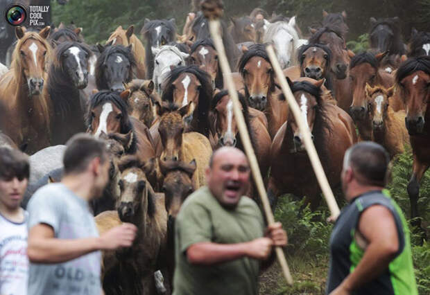 Неделя в фотографиях