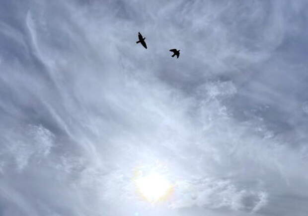 Взрывы вызваны работой ПВО: в Новороссийске и Геленджике беспилотная опасность