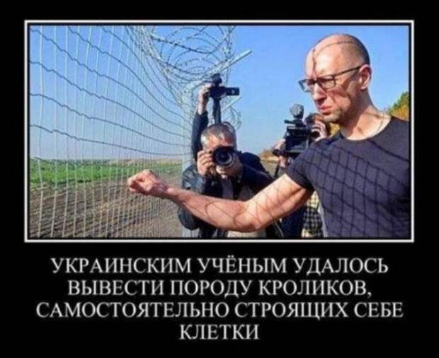 post-3-0-57837000-1449139040.png
