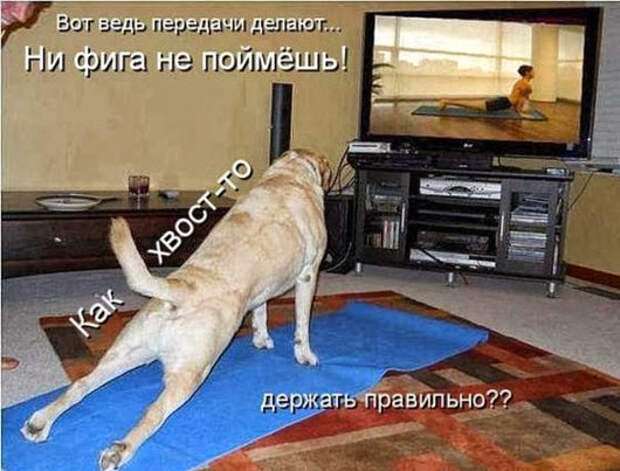 c3990d0686900b09e39b58a8f9b_prev