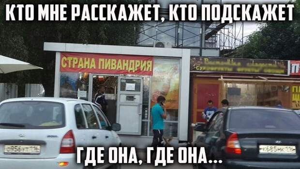 Фразы в картинках. Отличные приколы!