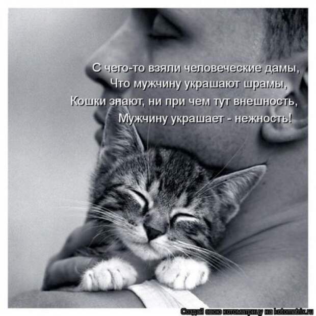 Отличная коллекция котоматриц (25 шт)