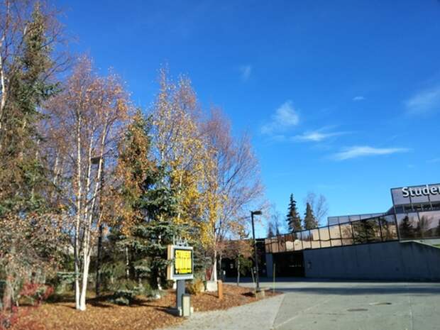 20141017_132235.jpg