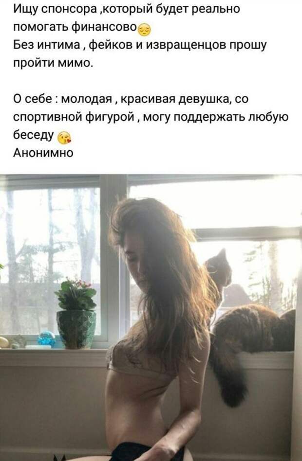 Объявления от содержанок из социальных сетей (13 скриншотов)