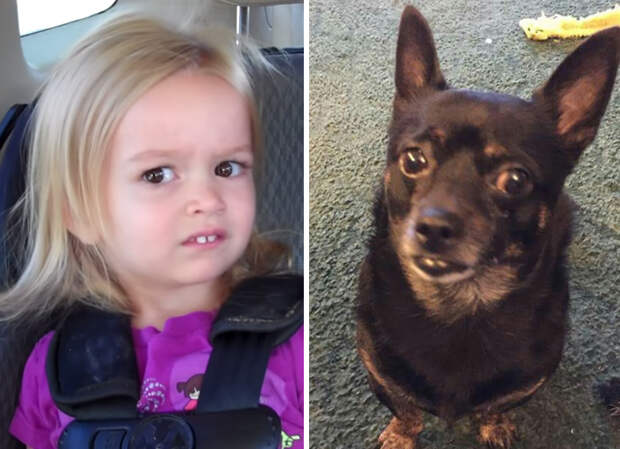 similar-things-look-alike-46__700