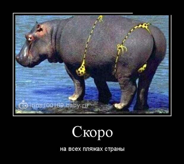 Демотиваторы демотиваторы, прикол, смех, юмор