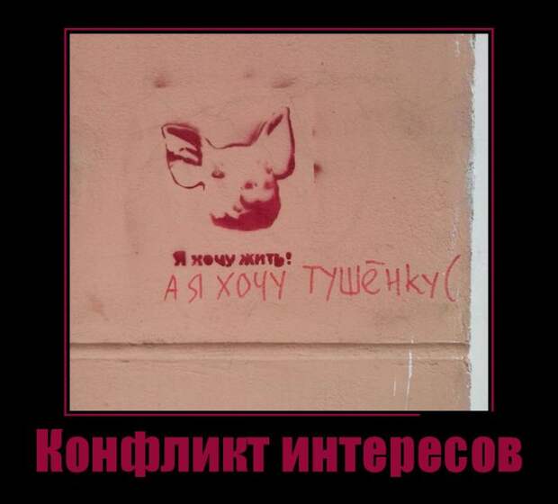 Демотиваторы (30 фото)