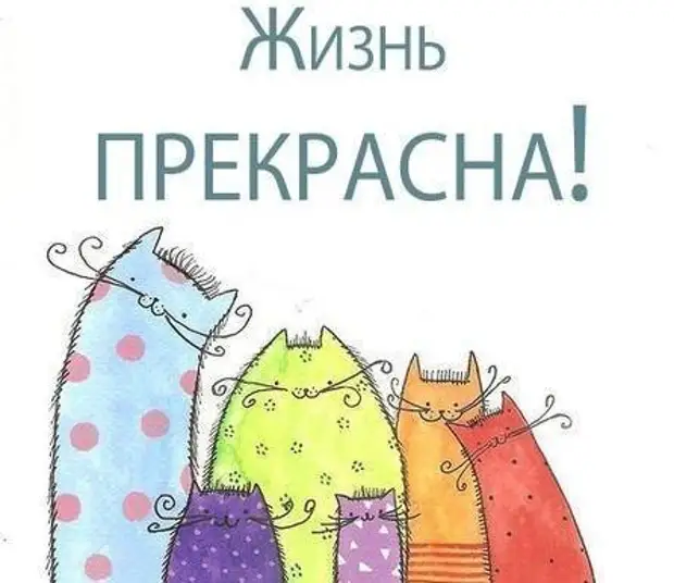 30 смешных историй про КОТОВ!)))