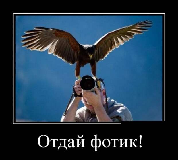 Демотиваторы демотиваторы, прикол, смех, юмор