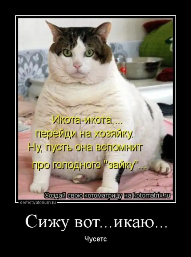 Красавчик смешные картинки
