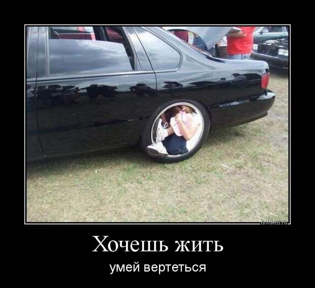 Демотиваторы  демотиваторы, прикол, смех, юмор