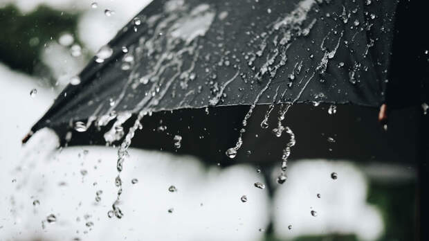 В Курганской области предупредили о дождях и грозах