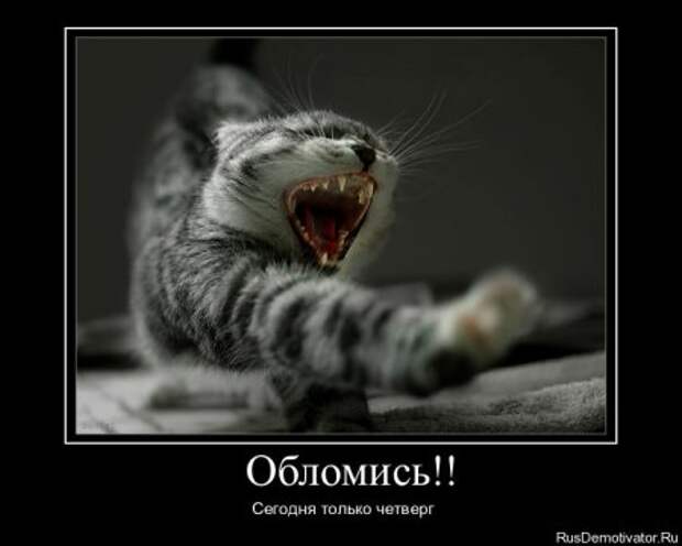 Прикольные новые демотиваторы.