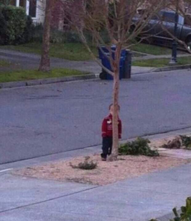 Вот с фото приколов все и начинается.