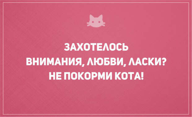 открытки о том, что без кота и жизнь не та (9)