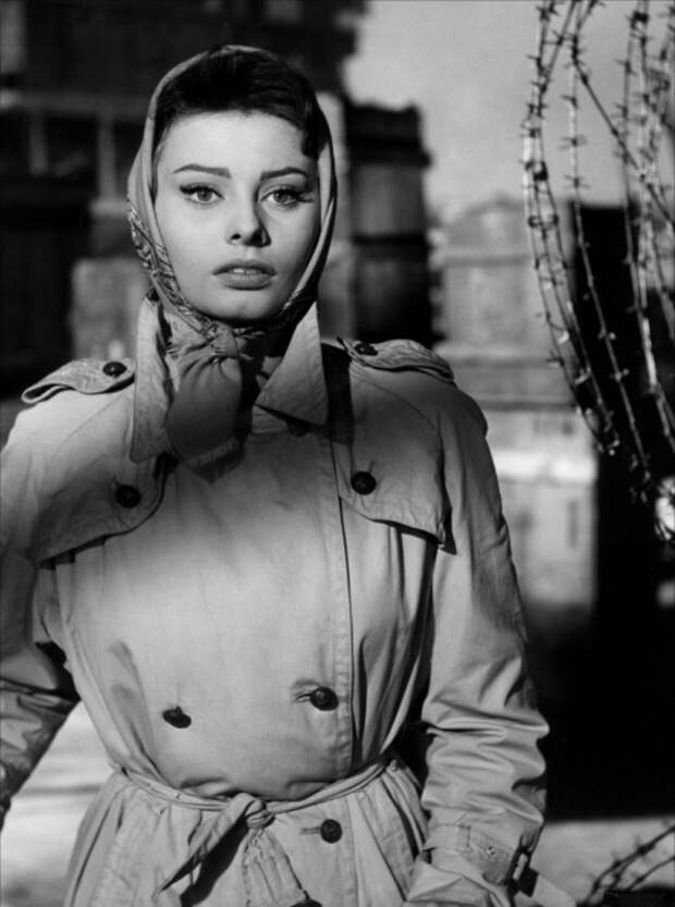 Софи Лорен в платке. Фото / Sophia Loren. Photo Софи Лорен в платке. Фото / Sophia Loren. Photo