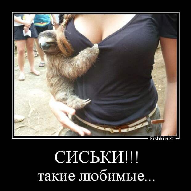 Демотиваторы  демотиваторы, прикол, смех, юмор