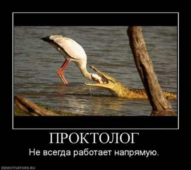 Веселые демотиваторы.