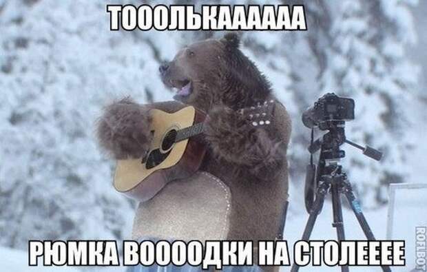 Новые фото приколы Новые фото приколы