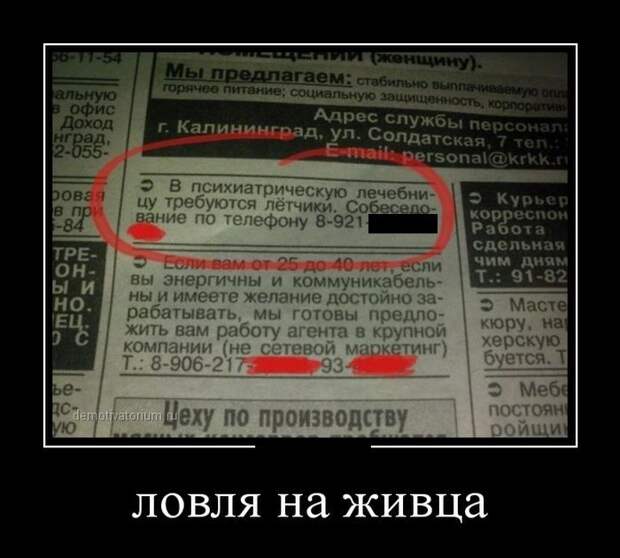 Сборник демотивационных приколов Сборник демотивационных приколов
