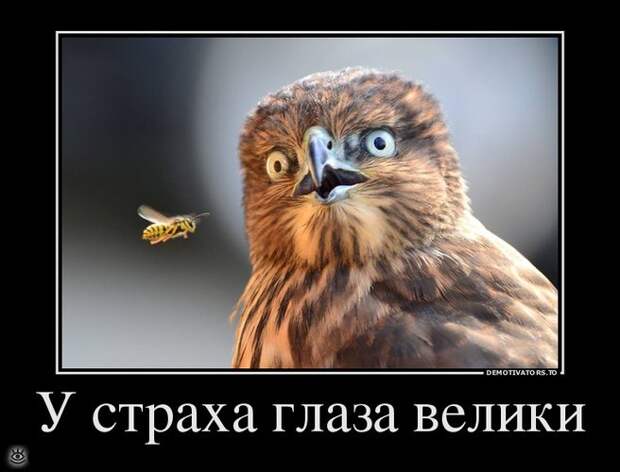 Иногда проще сказать правду... 22