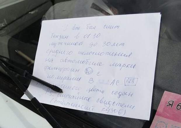 Прикольные картинки (95 фото)
