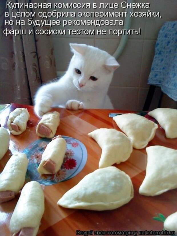 Котоматрица