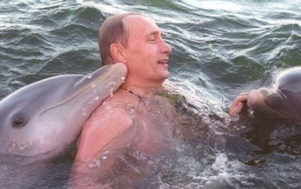 Владимир Владимирович Путин и звери добро, животные, мир, путин, россия