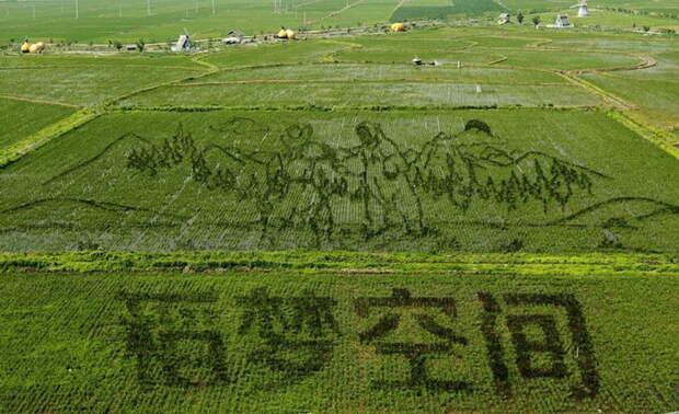 3D-рисунки на полях в Китае