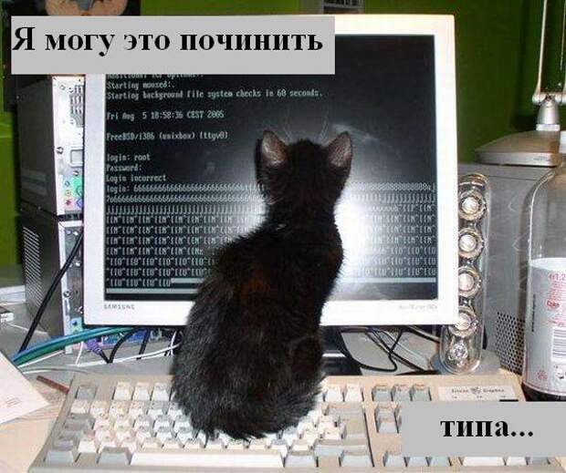 Мысли :) (50мыслей)