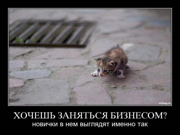 Демотиваторы (107 фото)