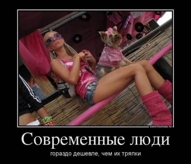 Порция свежих демотиваторов - смотрим приколы Порция свежих демотиваторов - смотрим приколы