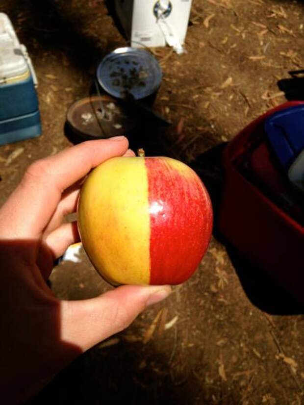 ПОДБОРКА ФОТОПРИКОЛОВ