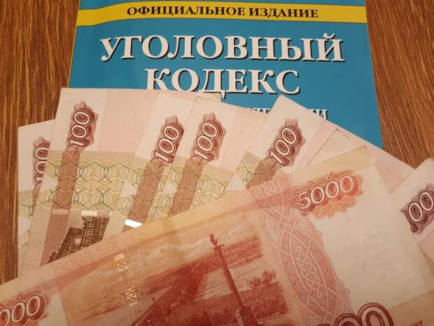Сотрудники полиции Северного округа столицы задержали подозреваемую в мошенничестве
