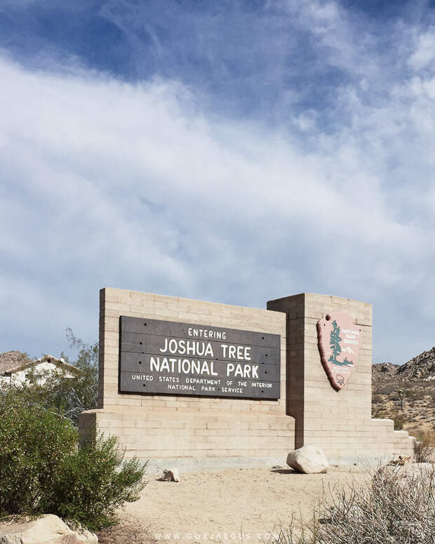 Joshua-Tree-National-Park-2.jpg