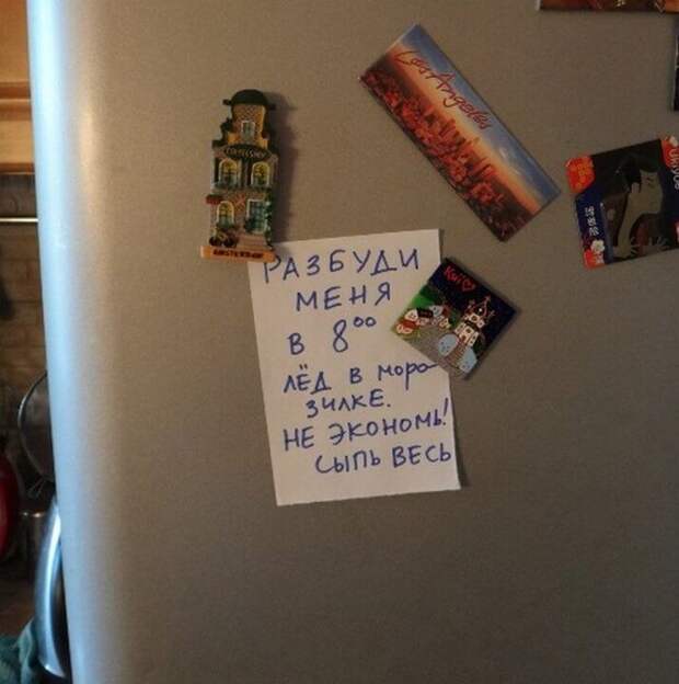 Круто, когда домашние с юмором Круто, когда домашние с юмором