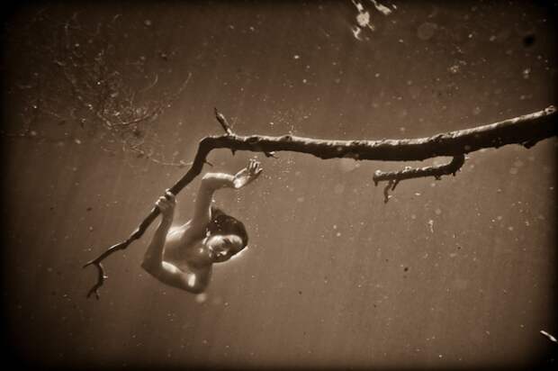 Непростые подводные фотографии Нила Крейвера