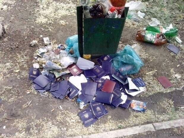 Да идите вы со своим референдумом в... ОБСЕ