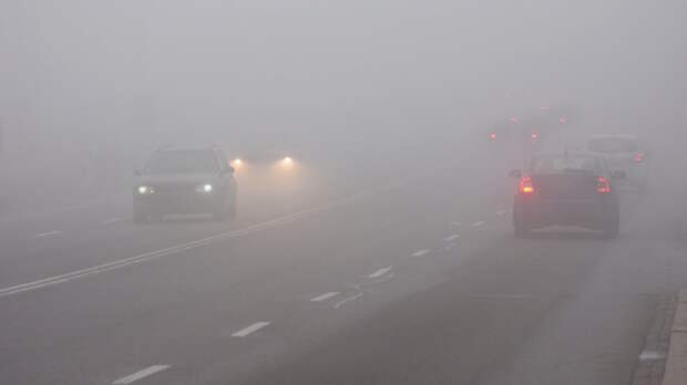 В Москве и Подмосковье ночью и утром ожидается туман