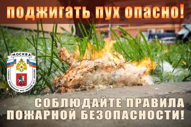 Москвичам рассказали о мерах пожарной безопасности 