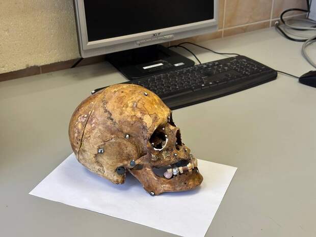 В Ленобласти нашли останки нескольких тысяч советских военнопленных