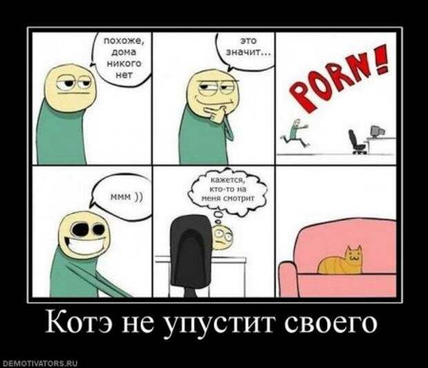 Новенькие демотиваторы с приколами тут.