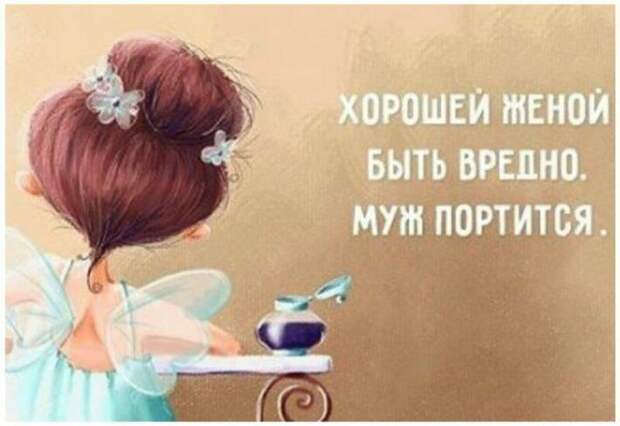 Подборка забавных картинок о том, кто такая хорошая жена