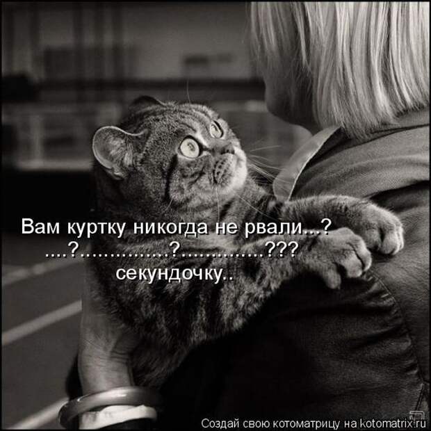 Мысли вслух :)